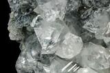 Wide, Gemmy Apophyllite Crystal Cluster - India #122102-2